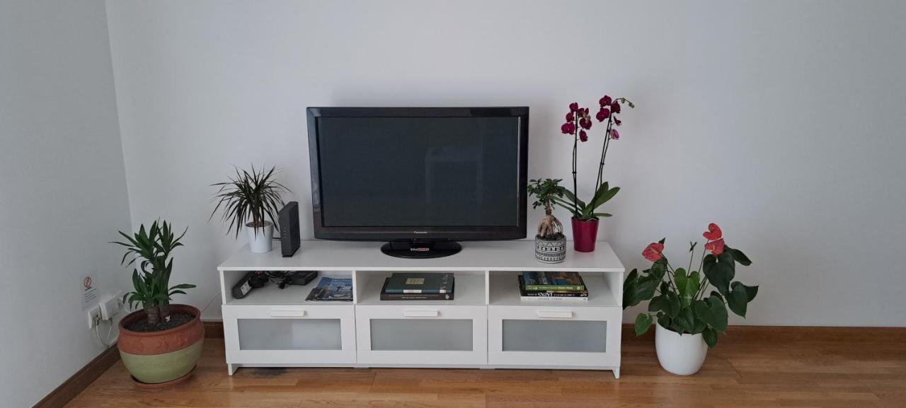 Appartement Lumineux T3 Avec Jardin Privatif A Hendaye - Parking Et Wif Gratuit Eksteriør bilde
