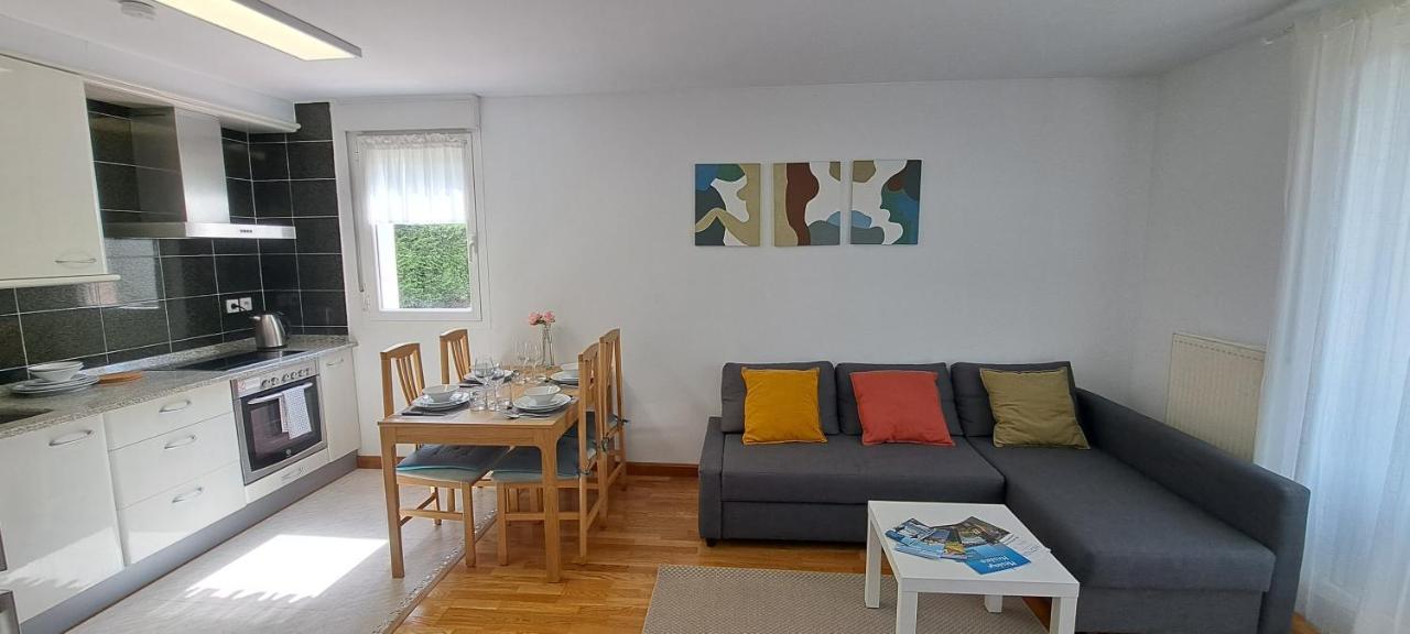 Appartement Lumineux T3 Avec Jardin Privatif A Hendaye - Parking Et Wif Gratuit Eksteriør bilde