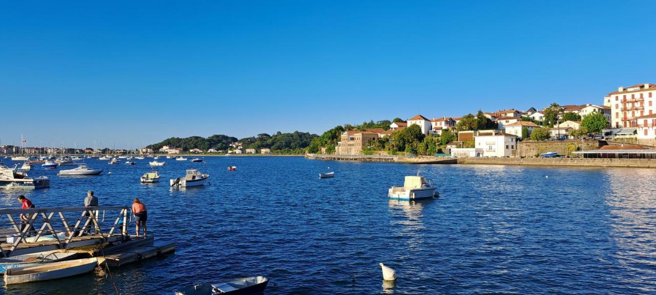 Appartement Lumineux T3 Avec Jardin Privatif A Hendaye - Parking Et Wif Gratuit Eksteriør bilde
